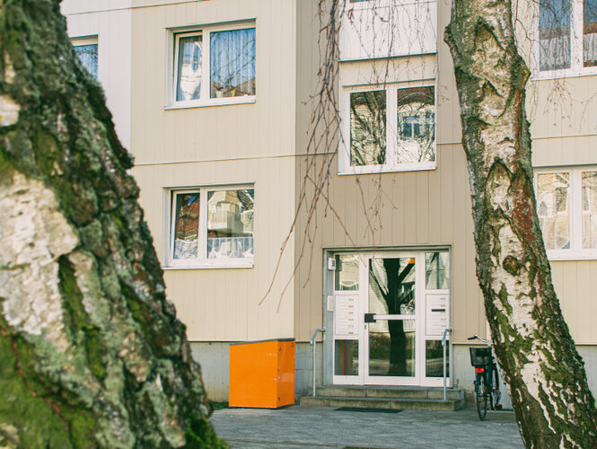 Alles in der Nähe - Foto 2