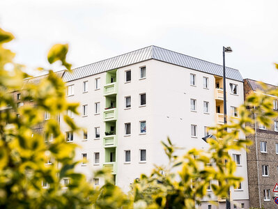 Bild 1 zum Mietangebot Frisch sanierte Singlewohnung ab August