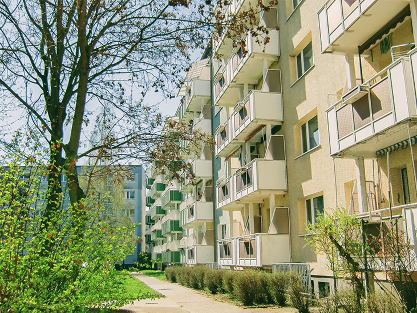Bild 0